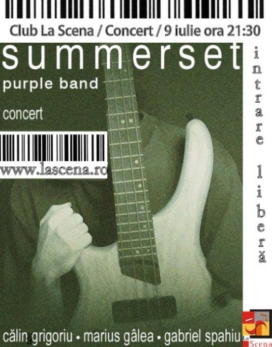 Concert Summerset Purple Band