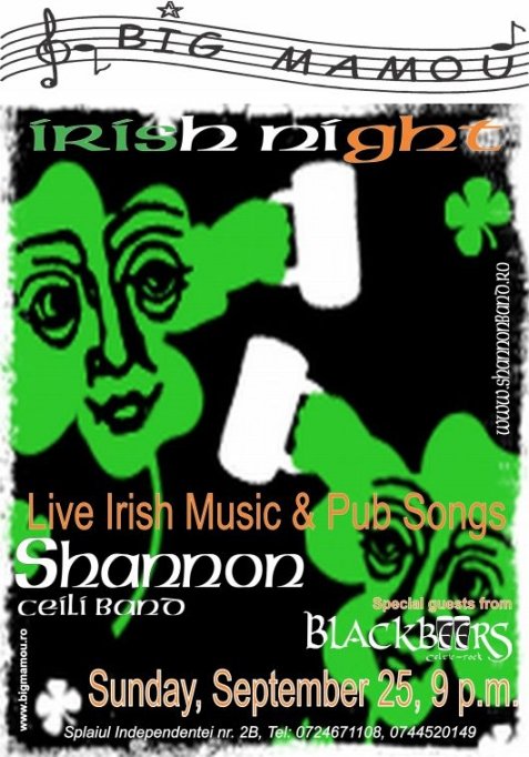 Irish Party @ Big Mamou