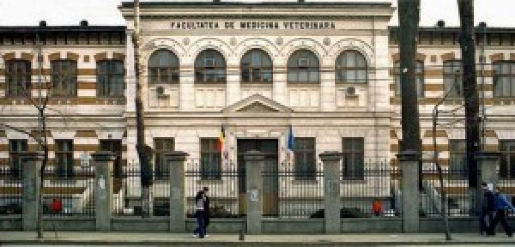 Facultatea de Medicina Veterinara