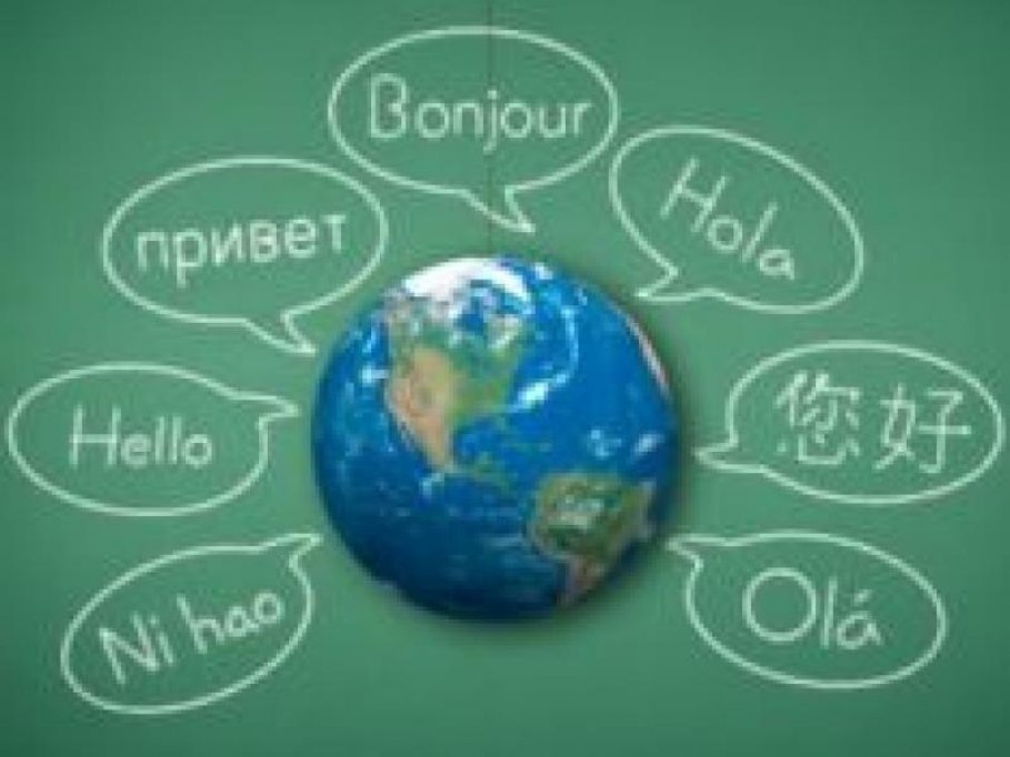Maralex Traduceri