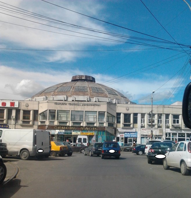 Piata Delfinului