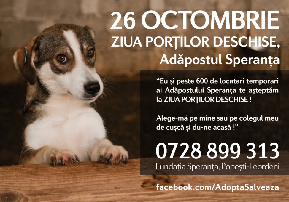 Start la adoptii - Ziua Portilor deschise la Adapostul Speranta