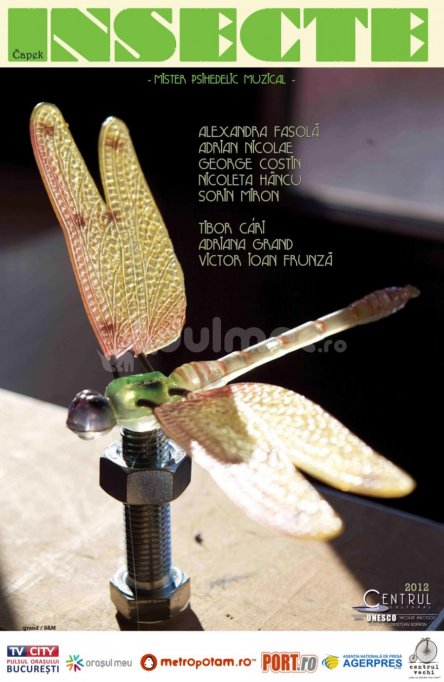 Scene din viata insectelor