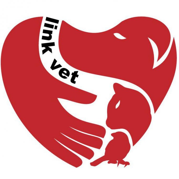 Cabinet Veterinar Link Vet