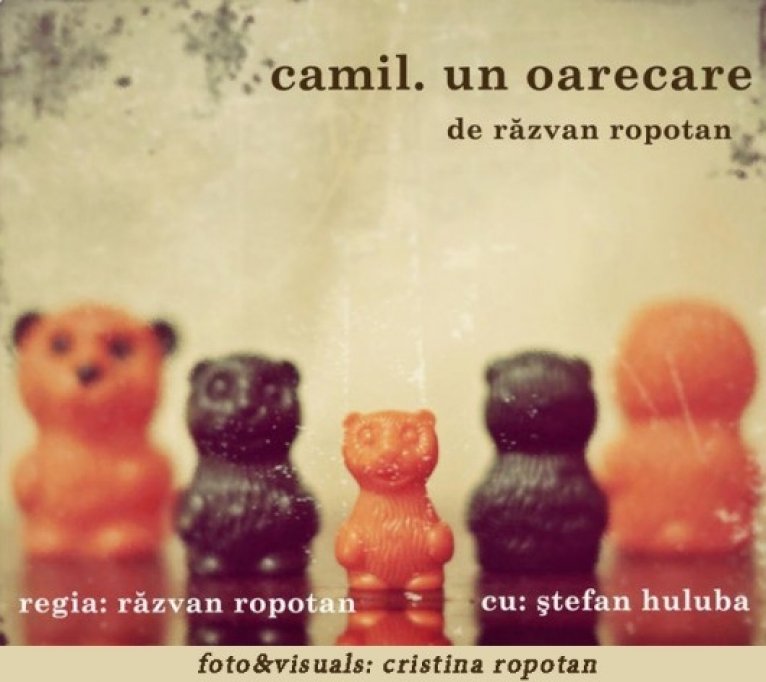 Camil. Un oarecare