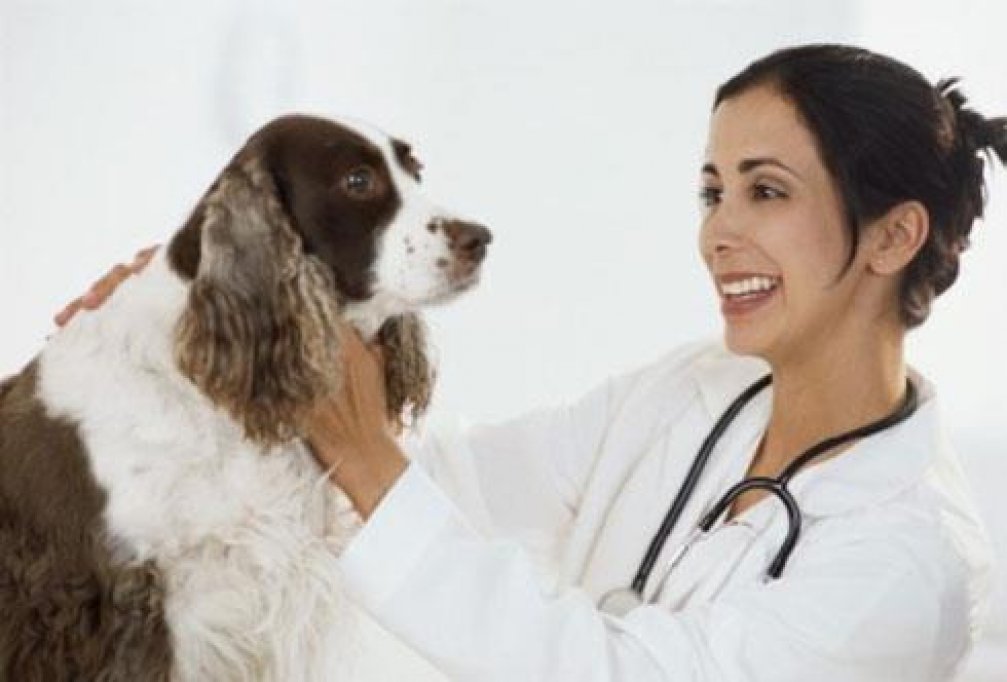 Cabinetul veterinar Cleo Vet