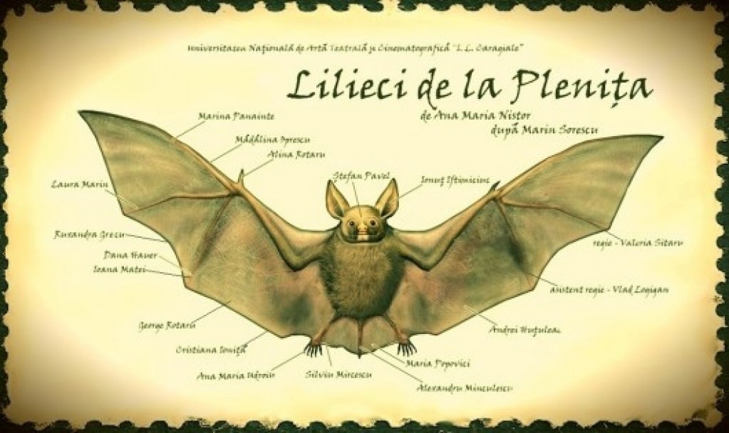 OPEN STAGE
&rdquo;Lilieci de la Plenița&rdquo;
