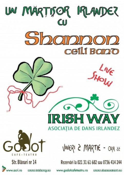 Seara irlandeza - Concert Shannon Ceili Band