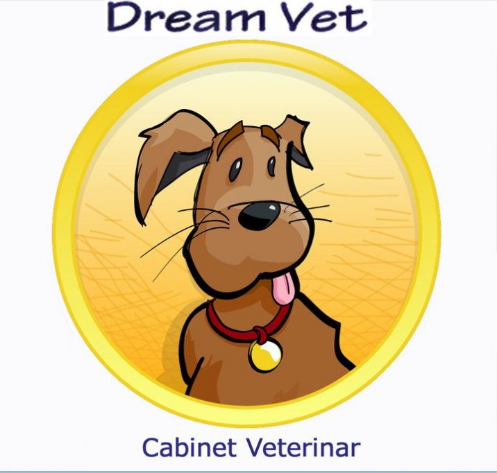 Dream Vet