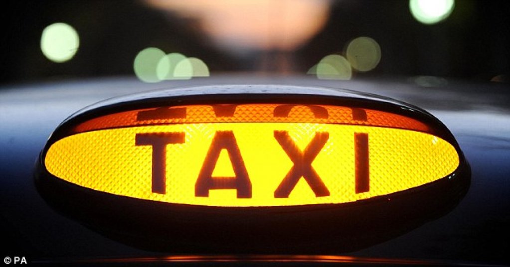 Flamingo Taxi