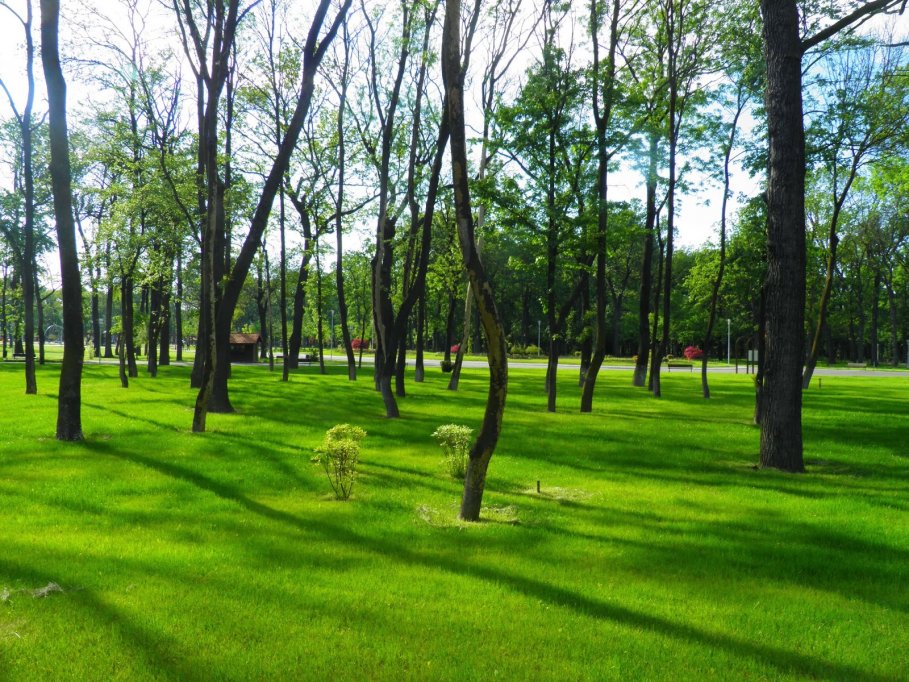Parcul Alexandru Ioan Cuza
