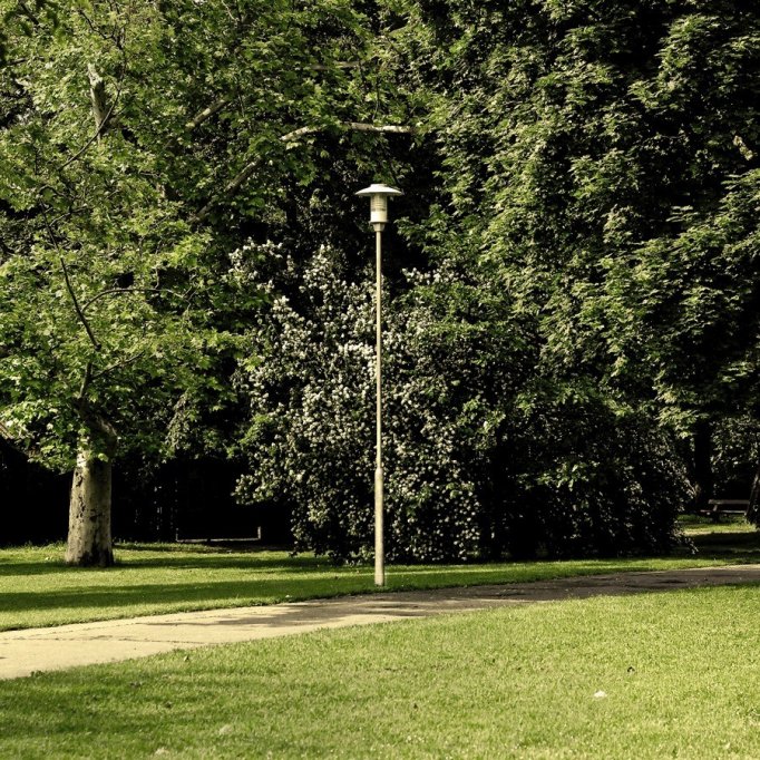 Parcul Din Strada Gheorghe Petrascu
