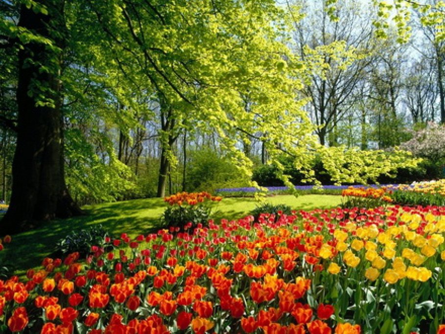 Parcul Florilor (Hatisului)