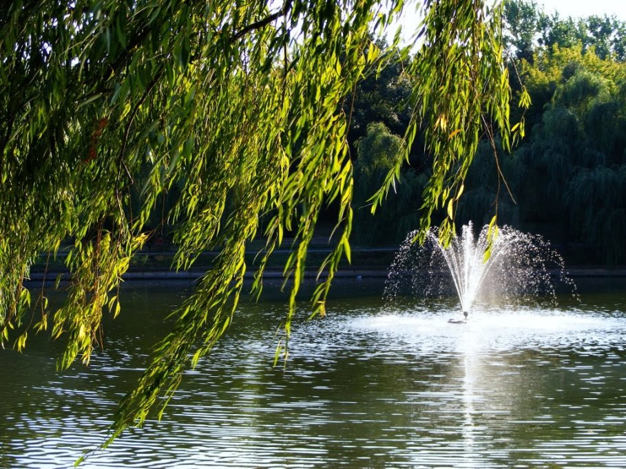 Parcul Morarilor