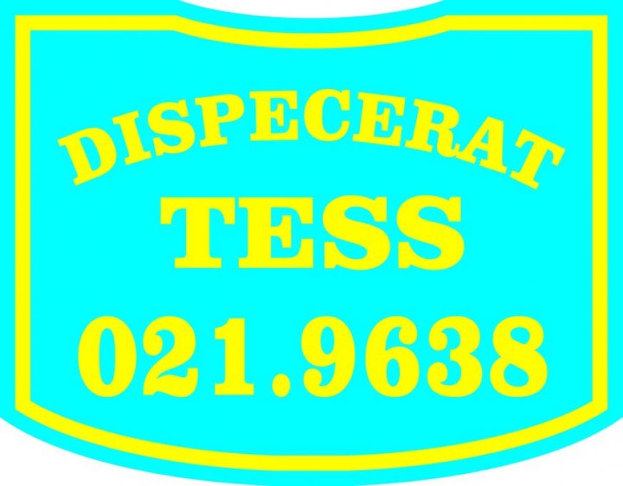 Tess Taxi