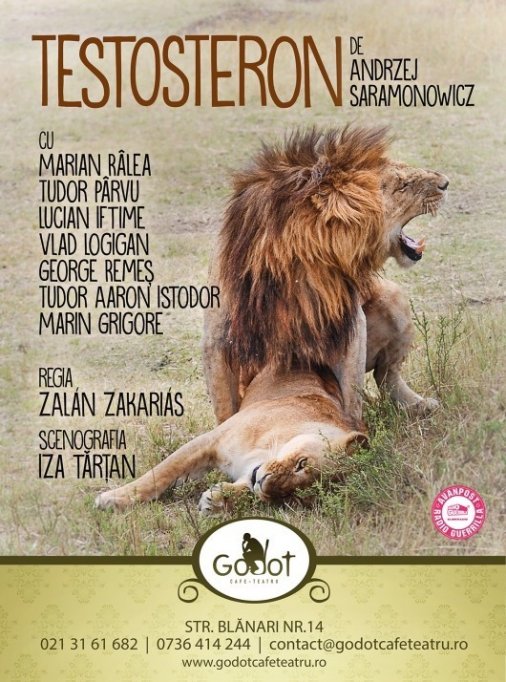 PREMIERA: ”Testosteron” de Andrzej Saramonowicz