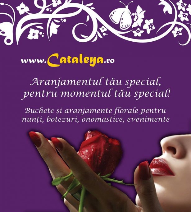 Floraria Cataleya