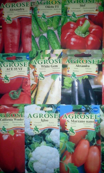 Seminte Legume & Plante Aromatice