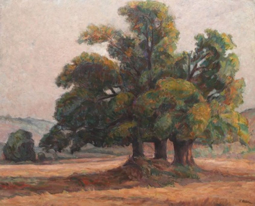 Licitatia de Primavara 2014