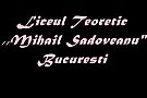 Liceul Teoretic Mihail Sadoveanu