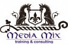 Media Mix Consulting