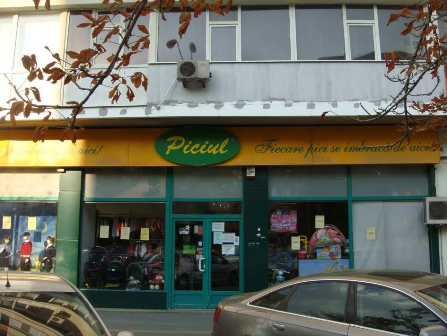 Piciul - Mihai Bravu
