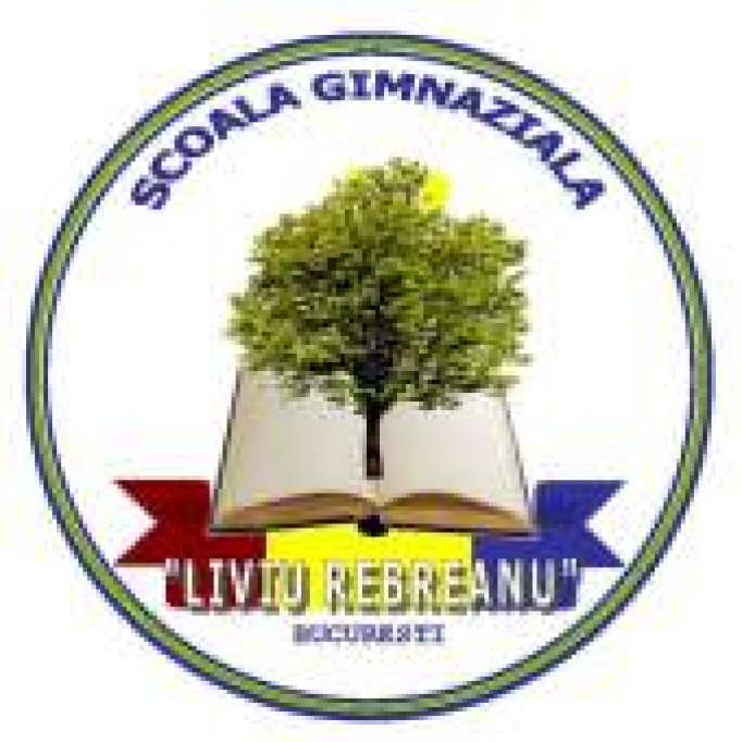 Scoala Nr. 21 Liviu Rebreanu