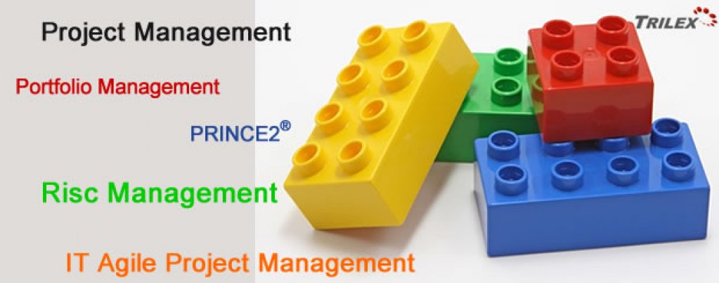 Trilex Consulting