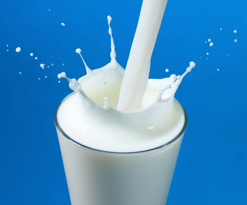Alimente despre care credem ca ne hranesc, iar ele ne otravesc! Laptele de vaca (I)