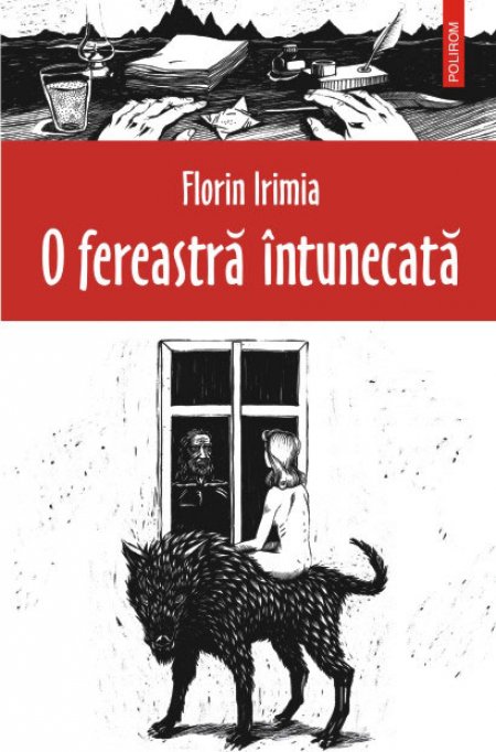 O fereastra intunecata, de Florin Irimia, va aparea in Turcia