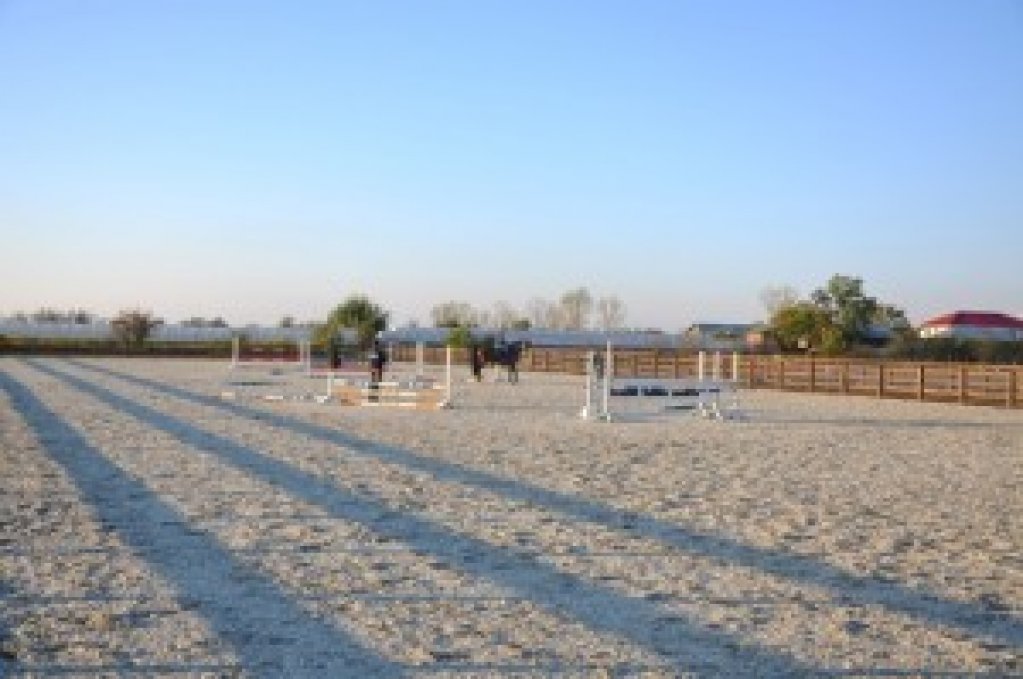 Clubul Sportiv Regatul Cailor