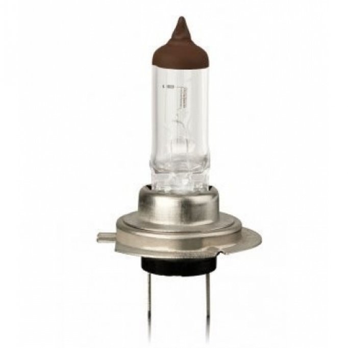 Bec auto H7 24V, 70W Vecta