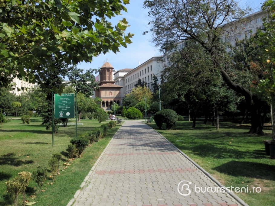 Parcul Sala Palatului