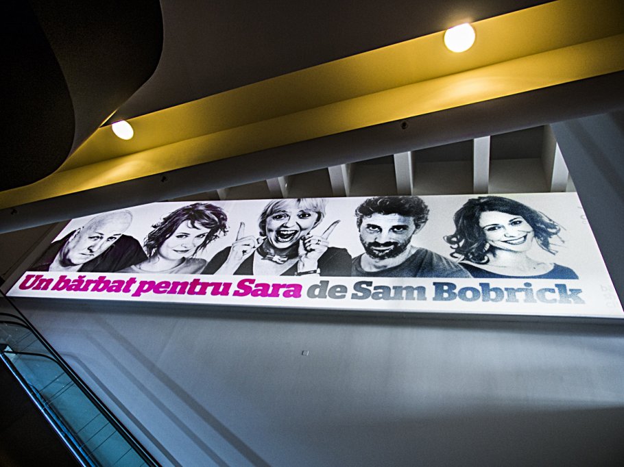Un barbat pentru Sara
