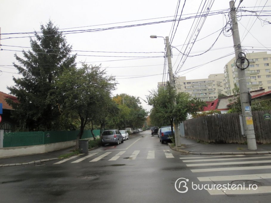 Strada Lastarisului