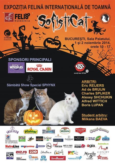 HalloWinner Cat Show!