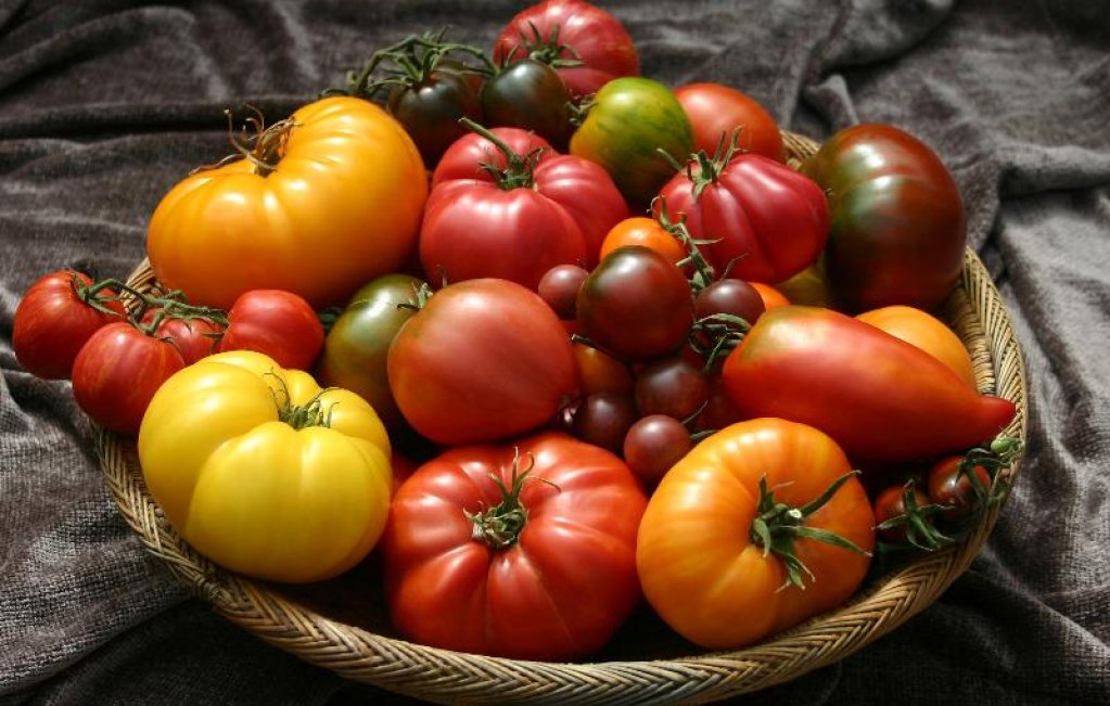 Vand seminte legume traditionale romanesti