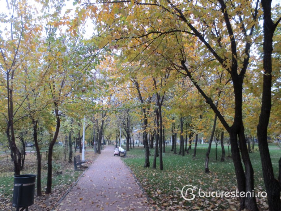 Parcul Giulesti