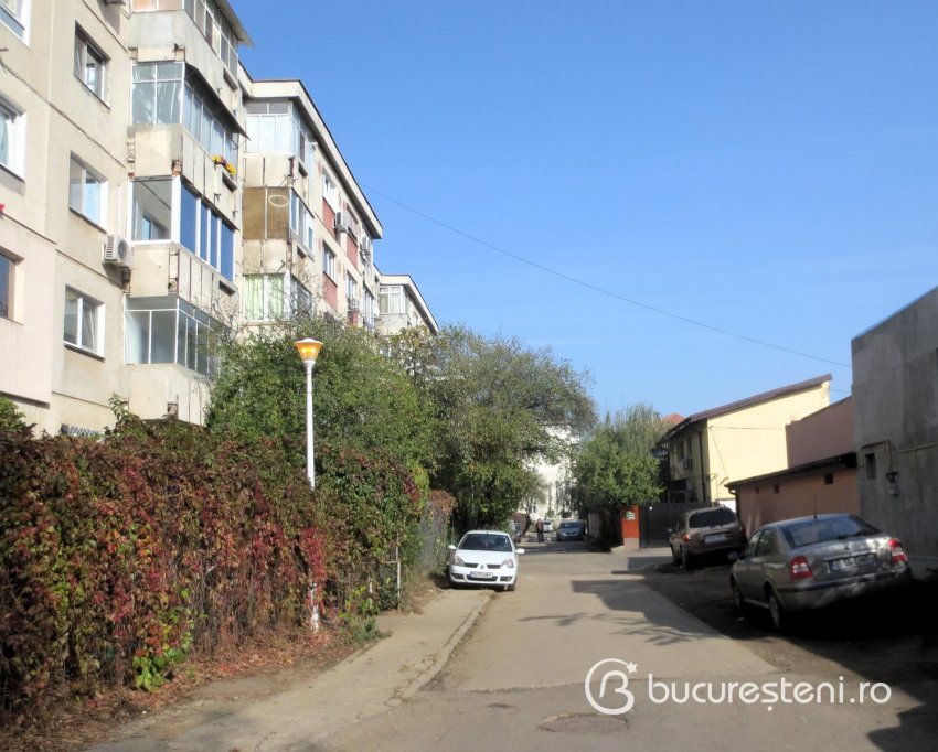 Strada Alesd