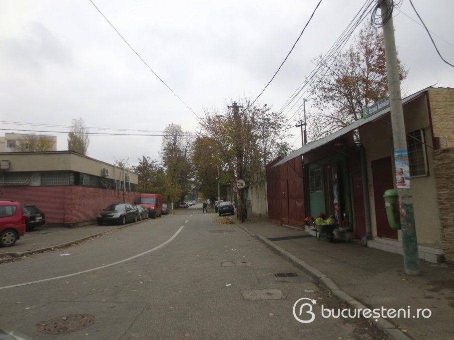 Strada Aninului