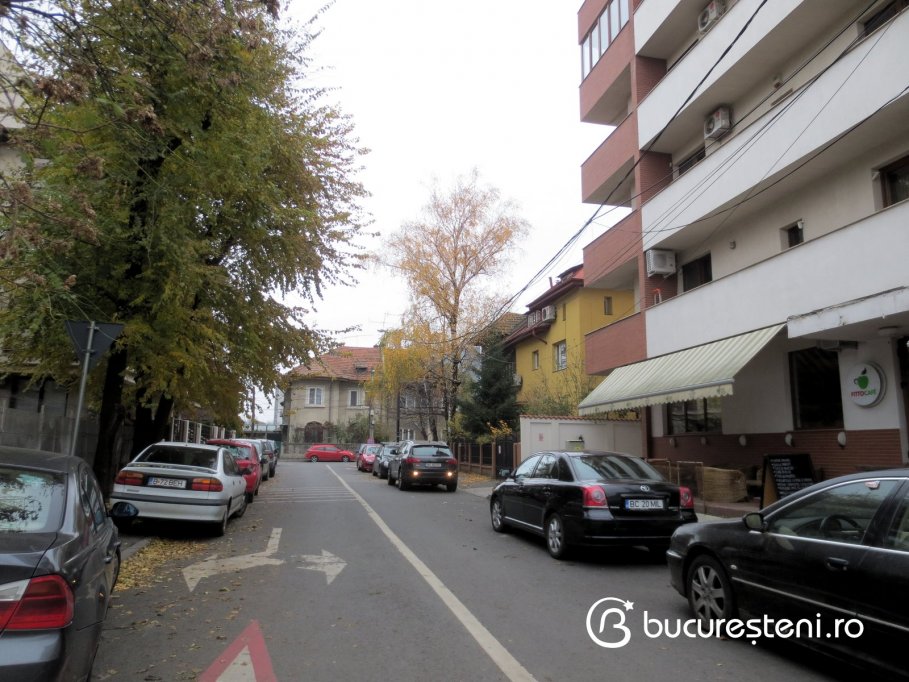 Strada Aviator Ion Muntenescu