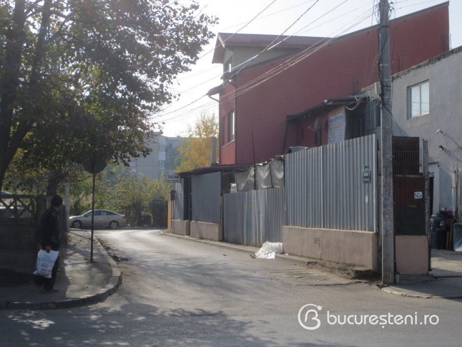 Strada Bradisului