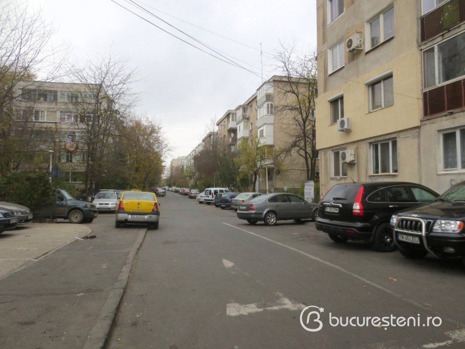 Strada Nucsoara