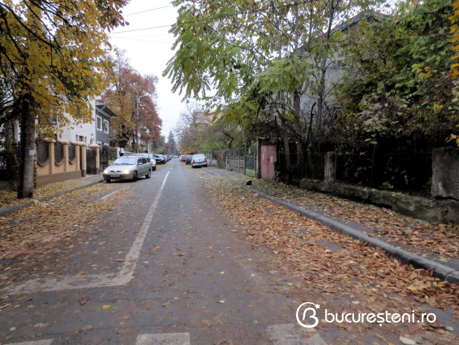 Strada Turbinei