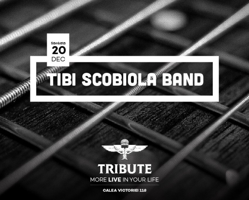 Concert Tibi Scobiola Band