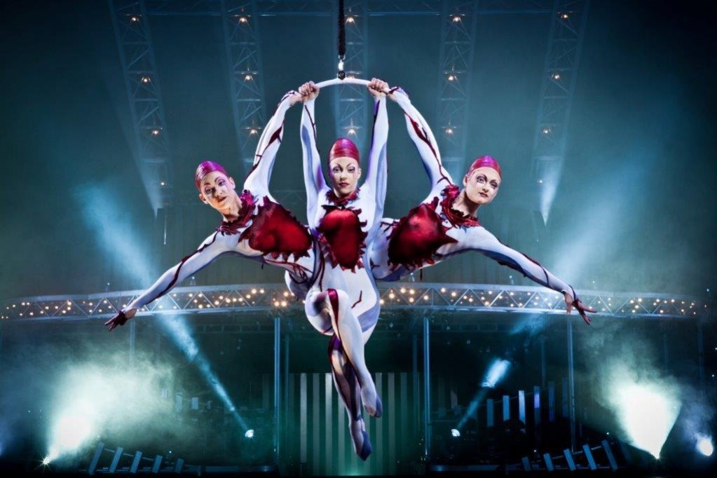 Vine Cirque du Soleil!