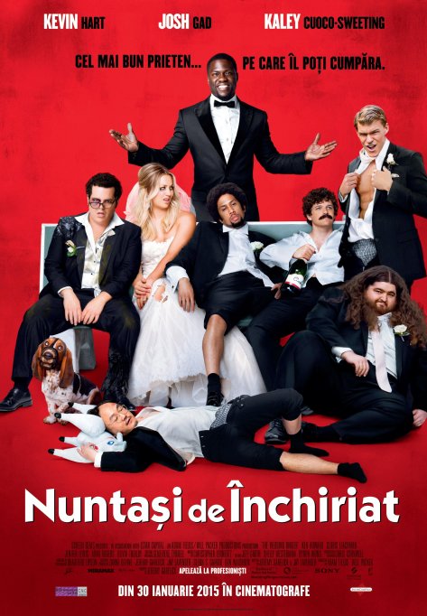 Nuntasi de inchiriat
