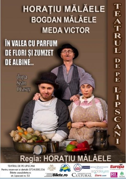 In valea cu parfum de flori si zumzet de albine