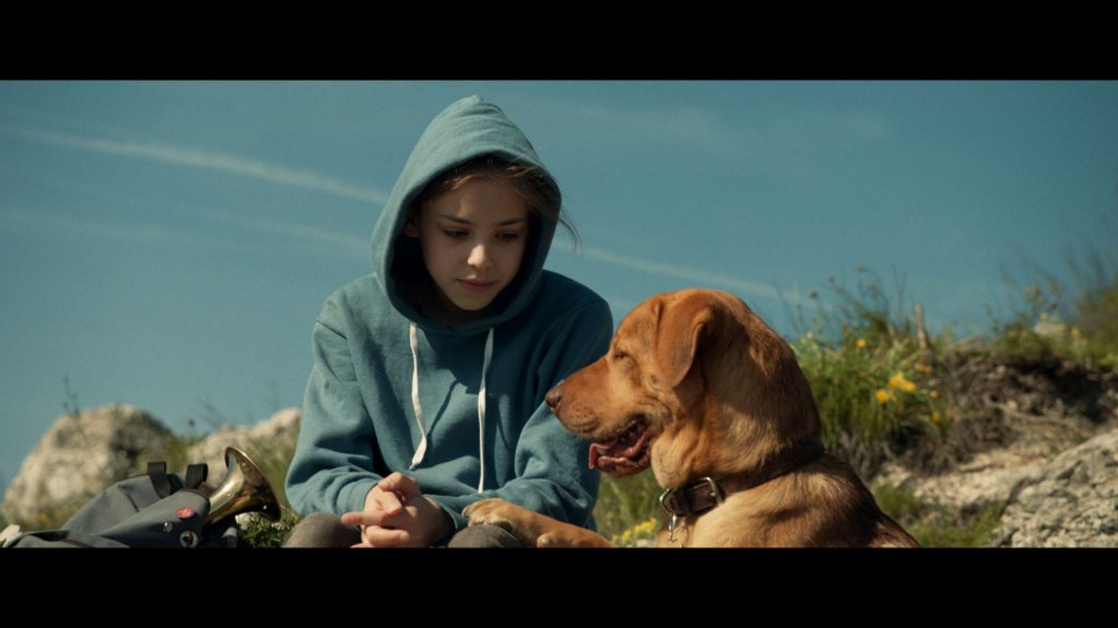 “Orasul cainilor” – propunerea Ungariei la Oscar 2015