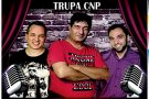 Stand-up Comedy & Parodii Muzicale